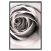 Wall Poster Rose Whirl - pattern imitating the appearance of a rose in an infinite swirl 122282 additionalThumb 24