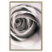 Wall Poster Rose Whirl - pattern imitating the appearance of a rose in an infinite swirl 122282 additionalThumb 20