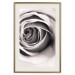 Wall Poster Rose Whirl - pattern imitating the appearance of a rose in an infinite swirl 122282 additionalThumb 19