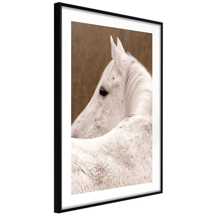 Wall Poster Sad Eyes - rear view portrait of a white horse against a golden nature background 126882 additionalImage 6