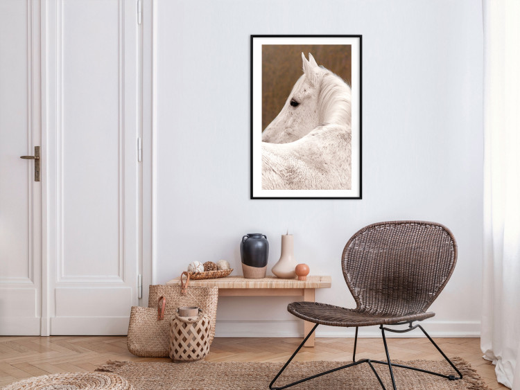 Wall Poster Sad Eyes - rear view portrait of a white horse against a golden nature background 126882 additionalImage 18
