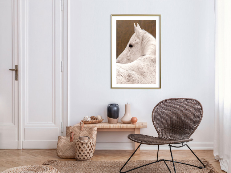 Wall Poster Sad Eyes - rear view portrait of a white horse against a golden nature background 126882 additionalImage 13