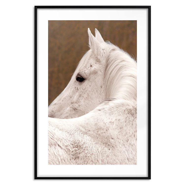 Wall Poster Sad Eyes - rear view portrait of a white horse against a golden nature background 126882 additionalImage 15