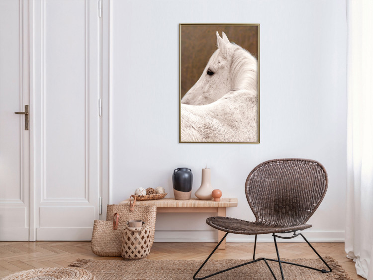 Wall Poster Sad Eyes - rear view portrait of a white horse against a golden nature background 126882 additionalImage 5
