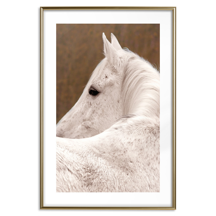 Wall Poster Sad Eyes - rear view portrait of a white horse against a golden nature background 126882 additionalImage 14