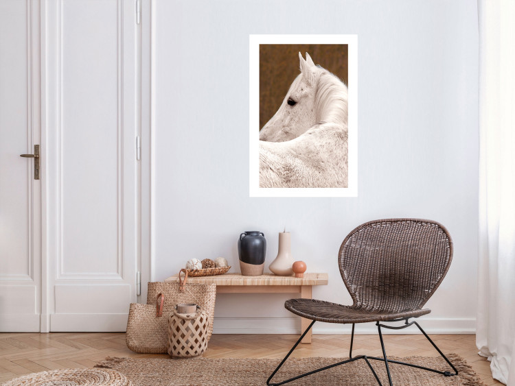 Wall Poster Sad Eyes - rear view portrait of a white horse against a golden nature background 126882 additionalImage 3