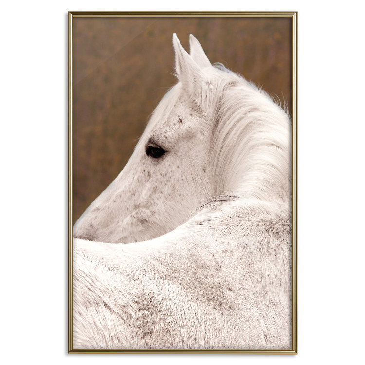Wall Poster Sad Eyes - rear view portrait of a white horse against a golden nature background 126882 additionalImage 17