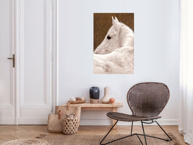 Wall Poster Sad Eyes - rear view portrait of a white horse against a golden nature background 126882 additionalImage 2
