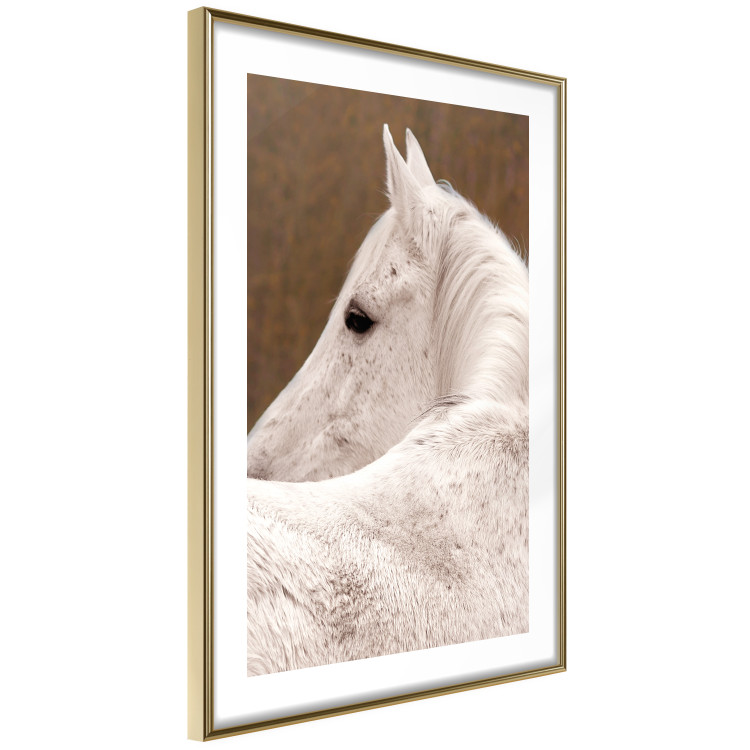 Wall Poster Sad Eyes - rear view portrait of a white horse against a golden nature background 126882 additionalImage 7