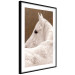 Wall Poster Sad Eyes - rear view portrait of a white horse against a golden nature background 126882 additionalThumb 6