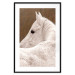 Wall Poster Sad Eyes - rear view portrait of a white horse against a golden nature background 126882 additionalThumb 15