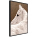 Wall Poster Sad Eyes - rear view portrait of a white horse against a golden nature background 126882 additionalThumb 11