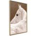 Wall Poster Sad Eyes - rear view portrait of a white horse against a golden nature background 126882 additionalThumb 12