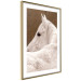 Wall Poster Sad Eyes - rear view portrait of a white horse against a golden nature background 126882 additionalThumb 7