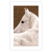 Wall Poster Sad Eyes - rear view portrait of a white horse against a golden nature background 126882 additionalThumb 19