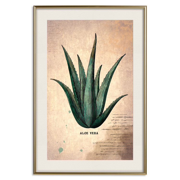 Poster Herbarium Page - vintage composition with green plant on brown background 129382 additionalImage 20