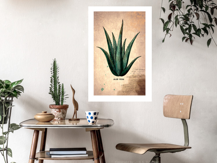 Poster Herbarium Page - vintage composition with green plant on brown background 129382 additionalImage 3