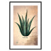 Poster Herbarium Page - vintage composition with green plant on brown background 129382 additionalThumb 15