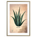 Poster Herbarium Page - vintage composition with green plant on brown background 129382 additionalThumb 21