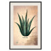 Poster Herbarium Page - vintage composition with green plant on brown background 129382 additionalThumb 22