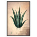 Poster Herbarium Page - vintage composition with green plant on brown background 129382 additionalThumb 27