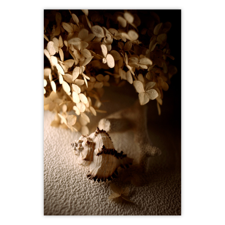 Wall Poster Rustling Shell - flowers and seashell on the beach in brown colors 131782