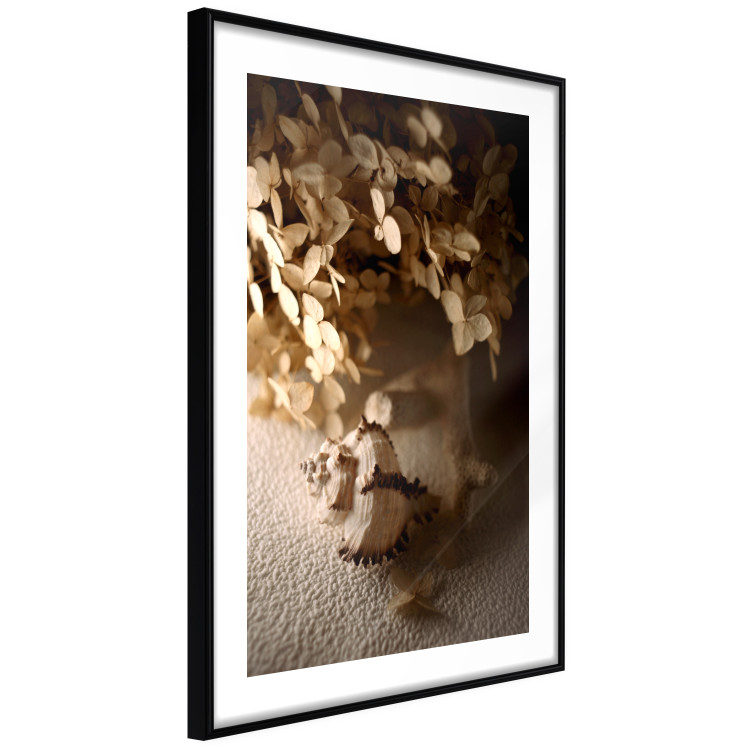 Wall Poster Rustling Shell - flowers and seashell on the beach in brown colors 131782 additionalImage 8