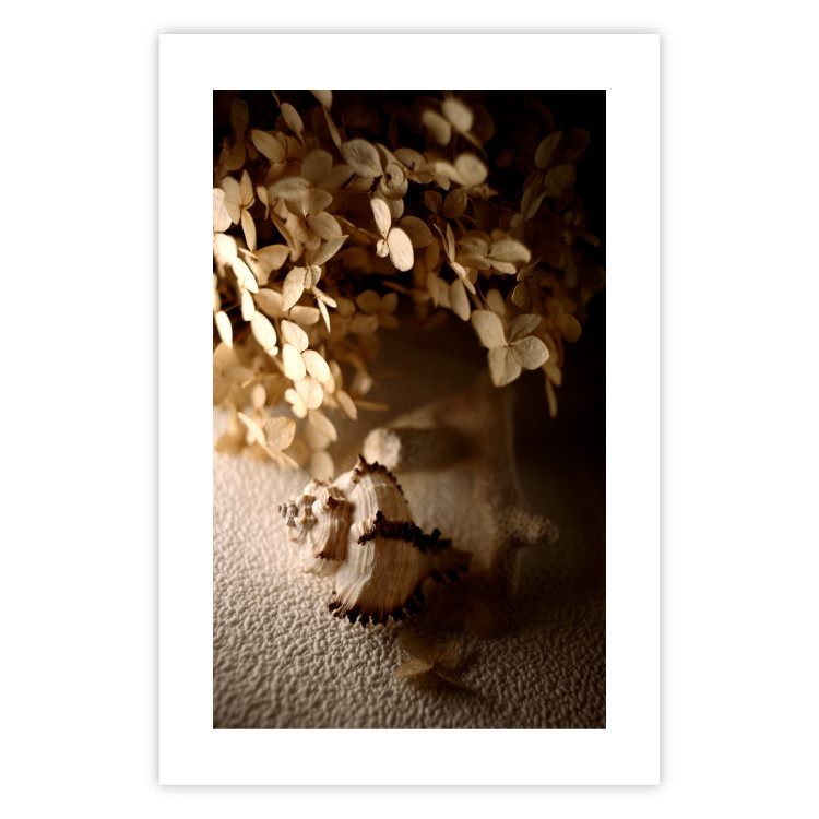 Wall Poster Rustling Shell - flowers and seashell on the beach in brown colors 131782 additionalImage 25