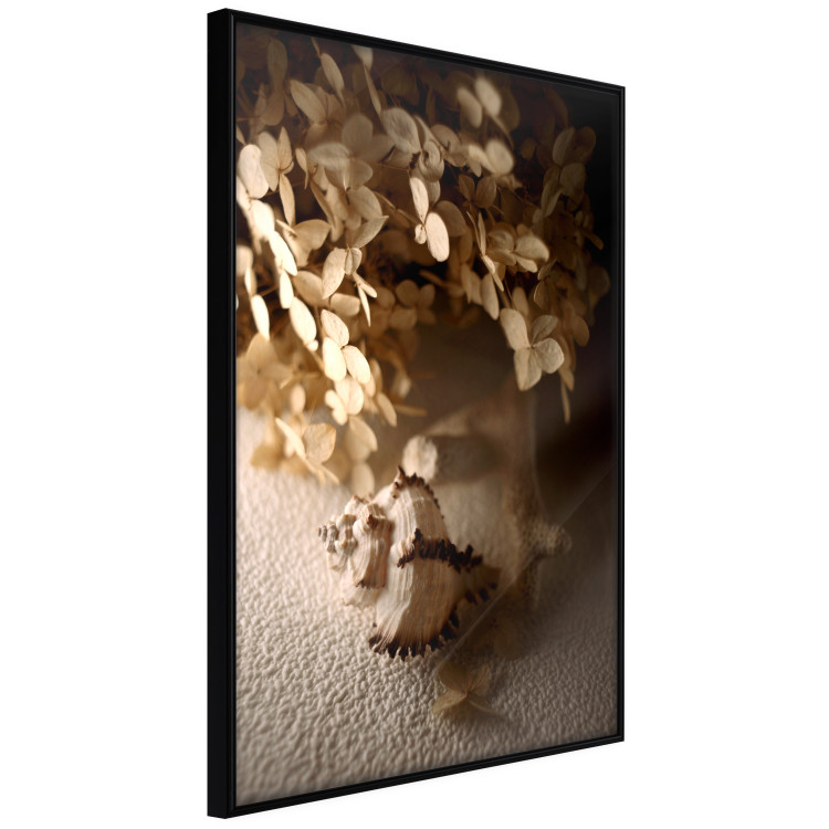 Wall Poster Rustling Shell - flowers and seashell on the beach in brown colors 131782 additionalImage 11