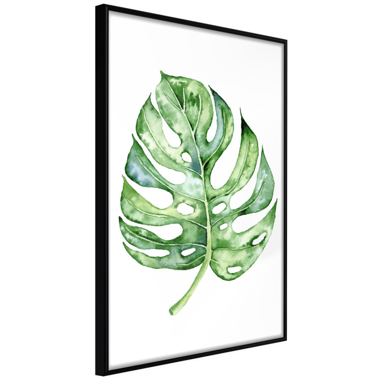 Poster Watercolor Monstera - a simple composition with a green plant leaf 136382 additionalImage 17