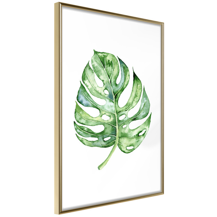Poster Watercolor Monstera - a simple composition with a green plant leaf 136382 additionalImage 22
