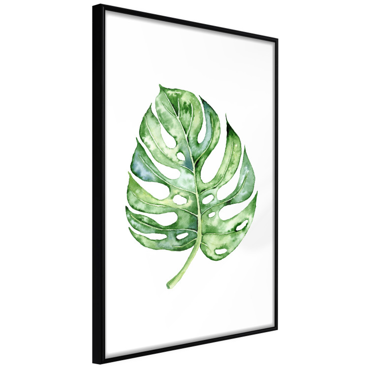Poster Watercolor Monstera - a simple composition with a green plant leaf 136382 additionalImage 2