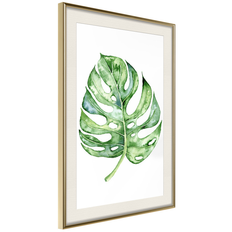 Poster Watercolor Monstera - a simple composition with a green plant leaf 136382 additionalImage 21