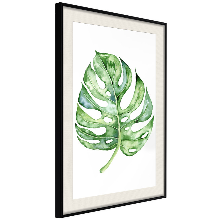 Poster Watercolor Monstera - a simple composition with a green plant leaf 136382 additionalImage 23