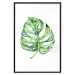 Poster Watercolor Monstera - a simple composition with a green plant leaf 136382 additionalThumb 7
