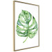 Poster Watercolor Monstera - a simple composition with a green plant leaf 136382 additionalThumb 3