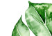 Poster Watercolor Monstera - a simple composition with a green plant leaf 136382 additionalThumb 25