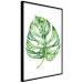 Poster Watercolor Monstera - a simple composition with a green plant leaf 136382 additionalThumb 17