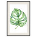 Poster Watercolor Monstera - a simple composition with a green plant leaf 136382 additionalThumb 4