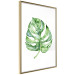 Poster Watercolor Monstera - a simple composition with a green plant leaf 136382 additionalThumb 22