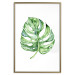 Poster Watercolor Monstera - a simple composition with a green plant leaf 136382 additionalThumb 4