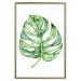 Poster Watercolor Monstera - a simple composition with a green plant leaf 136382 additionalThumb 6