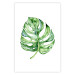 Poster Watercolor Monstera - a simple composition with a green plant leaf 136382 additionalThumb 13