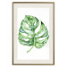 Poster Watercolor Monstera - a simple composition with a green plant leaf 136382 additionalThumb 6