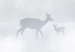 Canvas Deer and Stag in the Mist (1-piece) - animals against the backdrop of a lake and forest 145282 additionalThumb 5