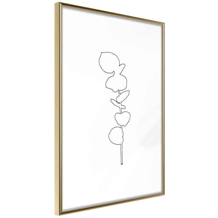 Wall Poster Graphic Eucalyptus - Minimalistic Leaf Drawing in a Linear Style 146182 additionalImage 11