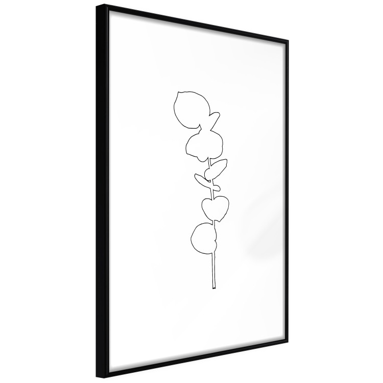Wall Poster Graphic Eucalyptus - Minimalistic Leaf Drawing in a Linear Style 146182 additionalImage 5