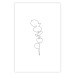 Wall Poster Graphic Eucalyptus - Minimalistic Leaf Drawing in a Linear Style 146182 additionalThumb 16