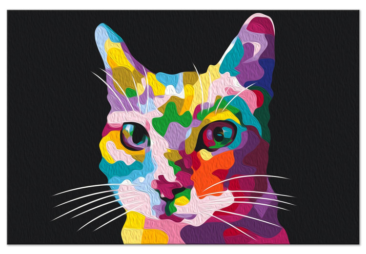 Paint by number Colorful Cat - Domestic Pet in Motley Spots 150382 additionalImage 6