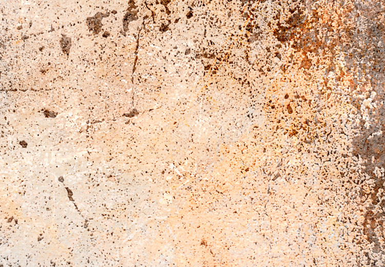 Large canvas print Rubbed Rust - Abstract Structures in Brown and Gray Colors [Large Format] 151482 additionalImage 5